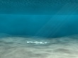 DELL Lagoon Wallpaer
