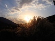 Summer Sunset Wallpaer