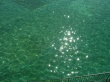 Green Water Wallpaer