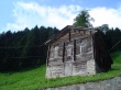 Woodhome Wallpaer
