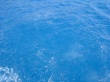Blue Water Wallpaer