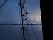 Night sea Wallpaer