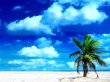Holiday Beach Wallpaer