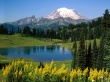 Fresh Nature Wallpaer