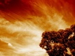 Fire Sky Wallpaer