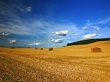 Beautiful Landscape Wallpaer