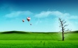 Sky Balloon Wallpaer