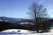 Winter Landscape Wallpaer