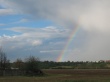 Rainbow Wallpaer