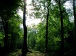 Iran Nature Wallpaer