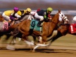 Horse Racing Wallpaer