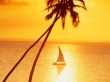 Sunset Sailing Wallpaer