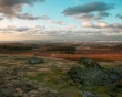 Stones fields trees Wallpaer