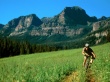 Singletrackin Wallpaer