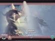 Neverwinter nights Wallpaer
