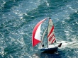 Olympic Class 49er Wallpaer