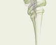 Green Smoke Wallpaer