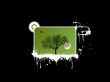 Spring Wallpaer