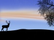 Stag Figure Wallpaer