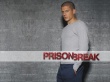 Michael Scofield Wallpaer