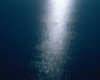 Water Twinkle Wallpaer