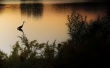Columbia Lake Wallpaer