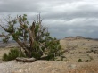 Canyon Utah Wallpaer