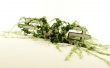 A Greener Place 2 Be Wallpaer