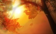 3D Autumn Wallpaer