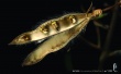 Nike Nature Wallpaer