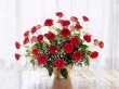 Home Flowers Wallpaer