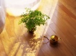 Home Living Wallpaer