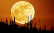 Rising Moon Wallpaer