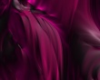 Purple Soft Wallpaer