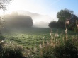 Morning Fog Wallpaer