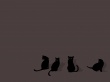 Four Black Cats Wallpaer
