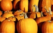 Pumpkins Wallpaer