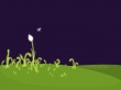 Flowers attraction Wallpaer