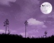 Last Hope Wallpaer