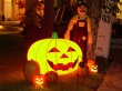Halloweens Garden Wallpaer