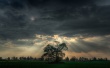 Before the Storm Wallpaer