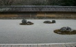 Leopard rock garden Wallpaer