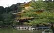 Golden palace Wallpaer