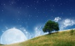 Moon Shine Wallpaer