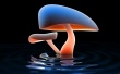 Mushroom Lake Wallpaer