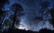 Blue Morning Wallpaer