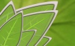 Harmony Leaf Wallpaer