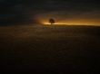 Last Sign Wallpaer