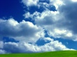 A Better Bliss Wallpaer