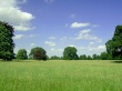 Lollitree Landscape Wallpaer